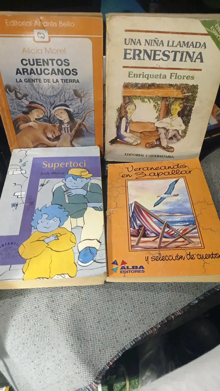 Lote de Libros Infantiles y Juveniles