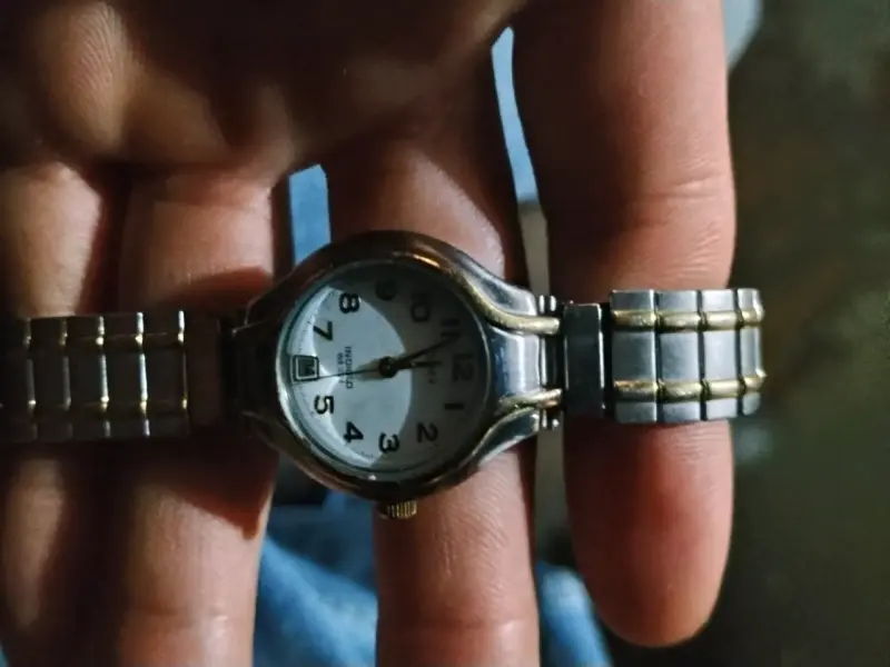 Reloj de pulsera Timex Quartz - 1