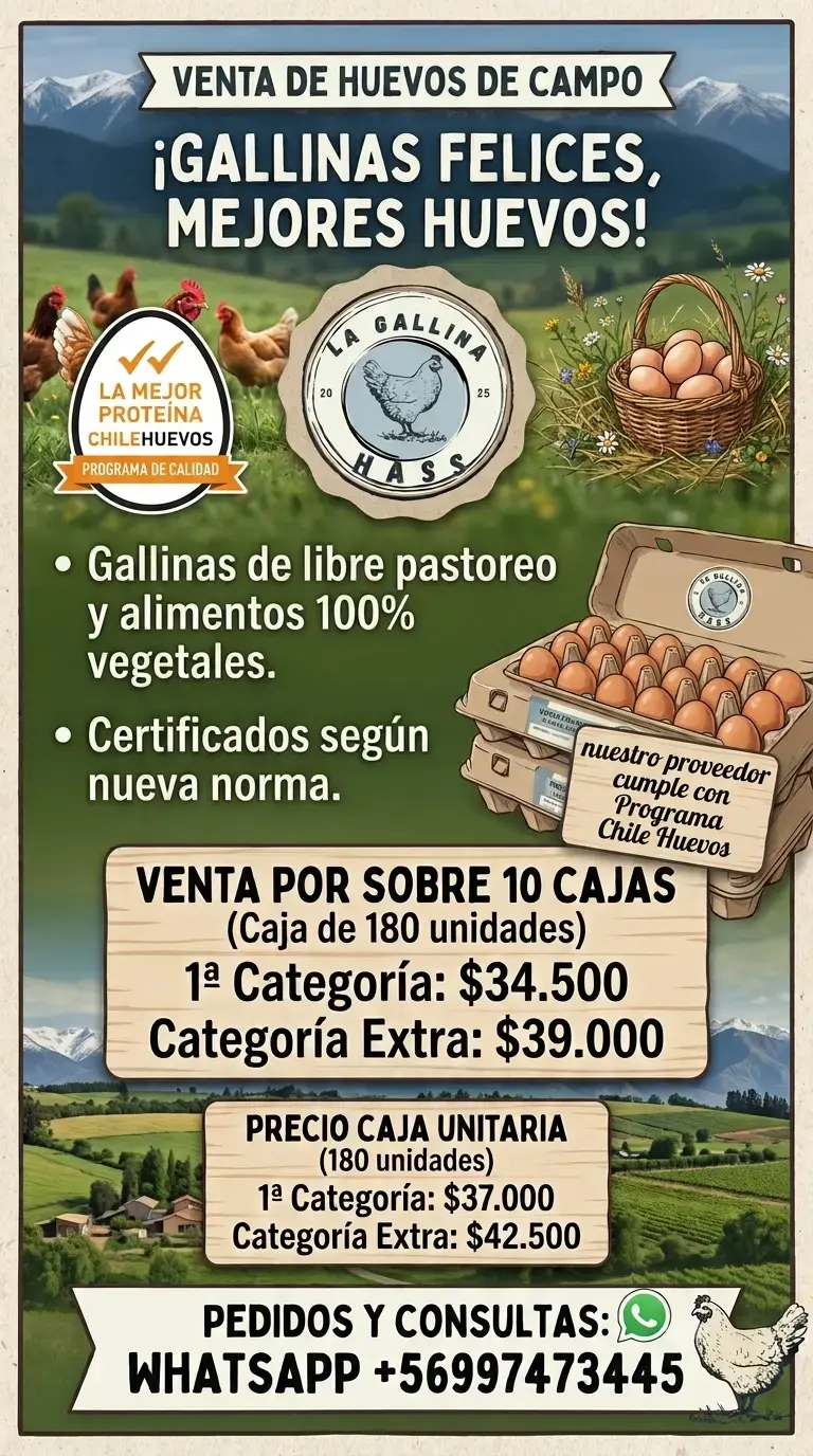 Venta de huevos de campo de gallinas felices