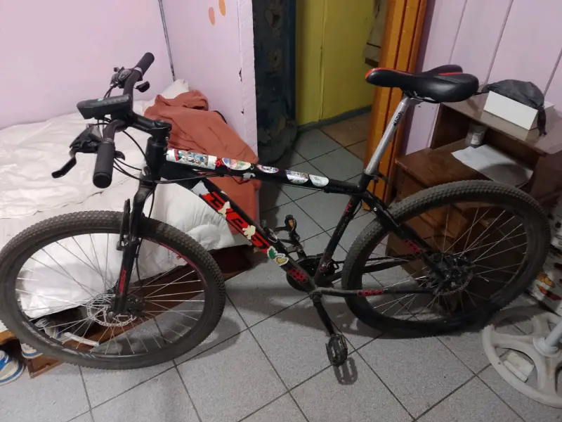 Bicicleta de montaña TSW negra con diseño floral - 2