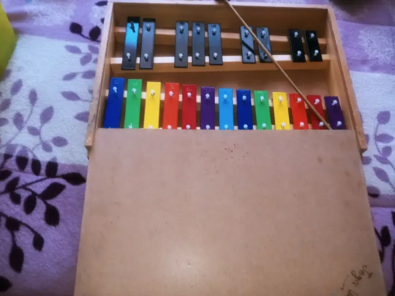 Xilófono infantil de colores con caja de madera - 5