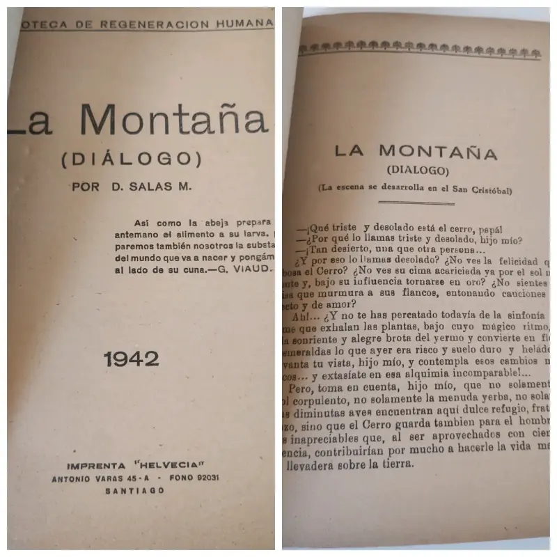 Libro raro chileno 'La Montaña' de D. Salas M. - 2