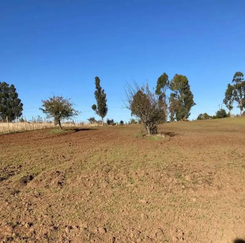 Se vende 2 parcelas juntas /separadas 7000mt2 c/u - 2