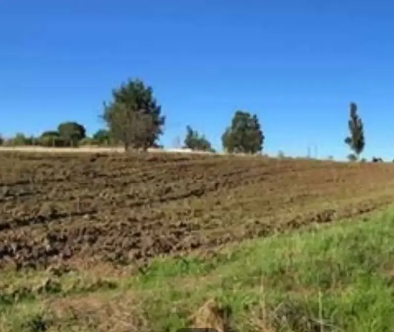 Se vende 2 parcelas juntas /separadas 7000mt2 c/u - 3