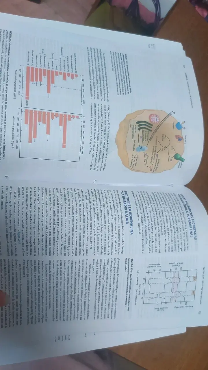 Libro Ganong Fisiología Médica 25ª edición - 3