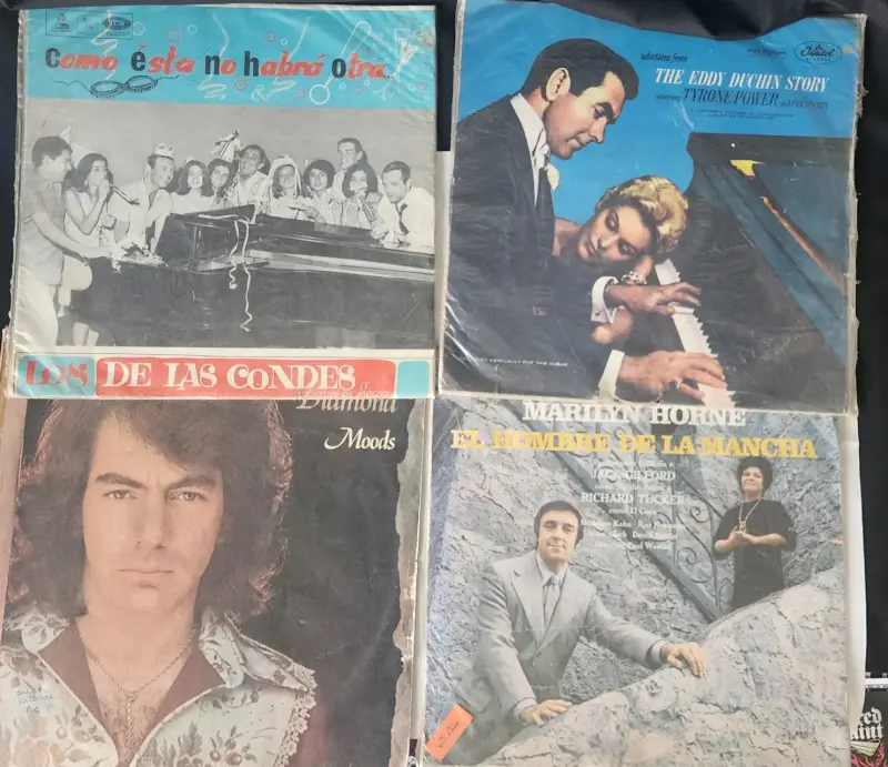 Colección de vinilos vintage de música variada - 2