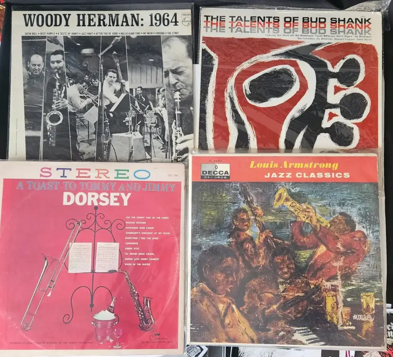 Colección de vinilos vintage de música variada - 4