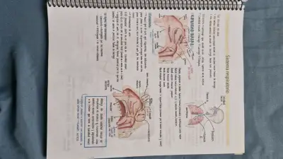 Libro de Apuntes de Histología y Anatomía (morfo) - miniatura 2
