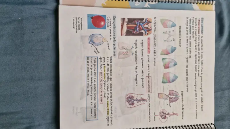 Libro de Apuntes de Histología y Anatomía (morfo) - 3