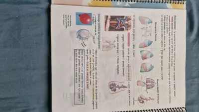 Libro de Apuntes de Histología y Anatomía (morfo) - miniatura 3