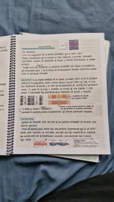 Libro de Apuntes de Histología y Anatomía (morfo) - miniatura 6