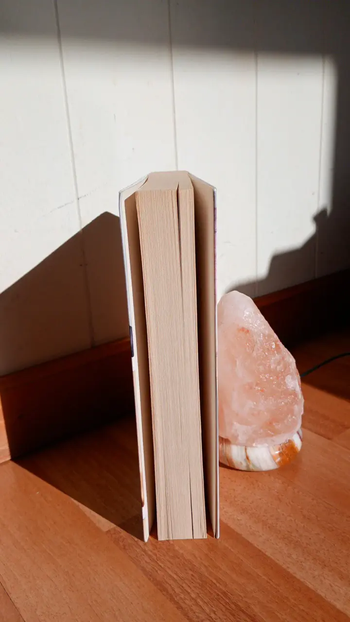 Libro 'Alguien Está Mintiendo' de Karen M. McManus - 2