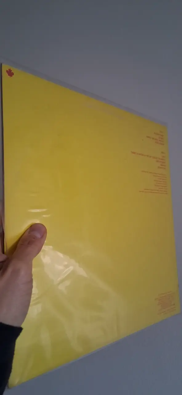 Vinilo de The B-52's en excelente estado. Alemán. - 2