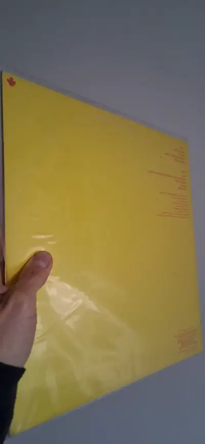 Vinilo de The B-52's en excelente estado. Alemán. - miniatura 2