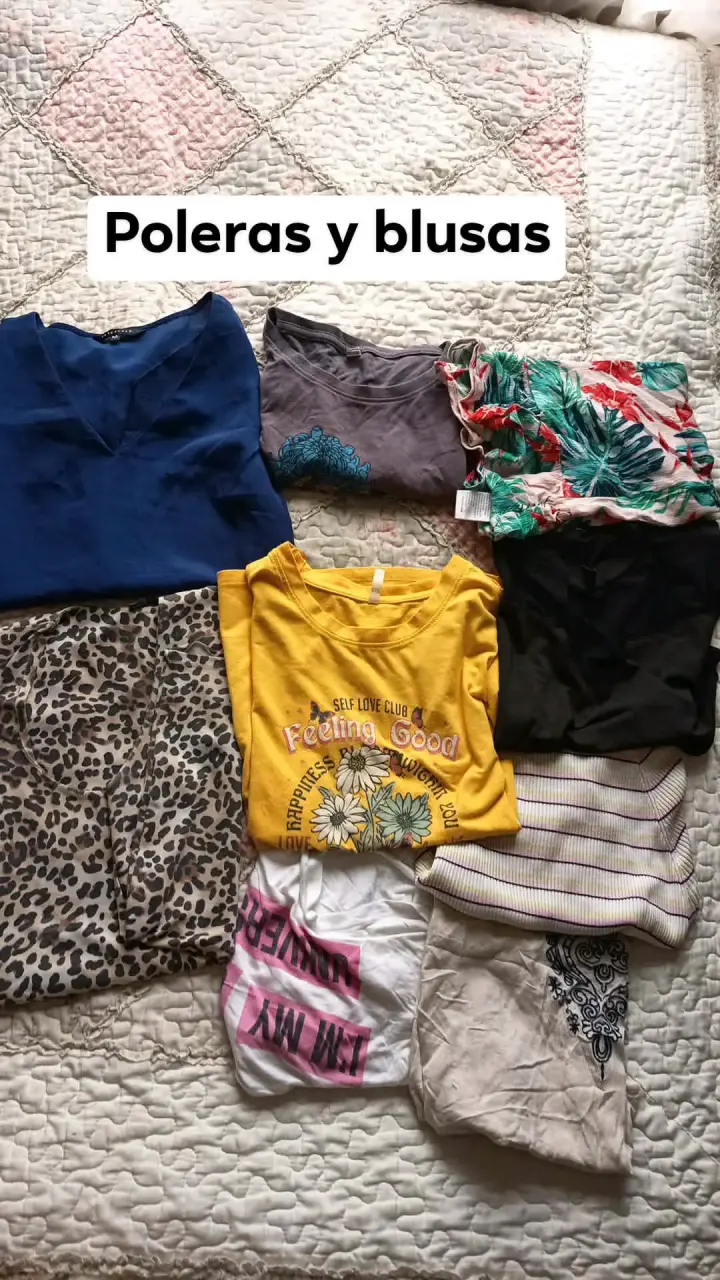 Lote de poleras y blusas de mujer - 1