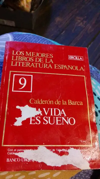 Colección de Libros de Literatura Española Clásica - miniatura 4
