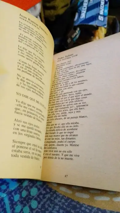 Antología Poética para Jóvenes de Hugo Montes - miniatura 3