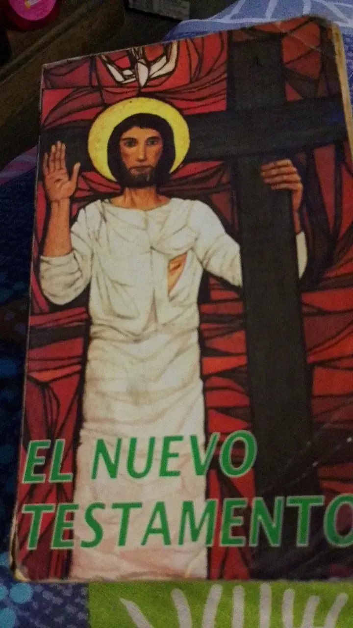 Libro El Nuevo Testamento en español - 1