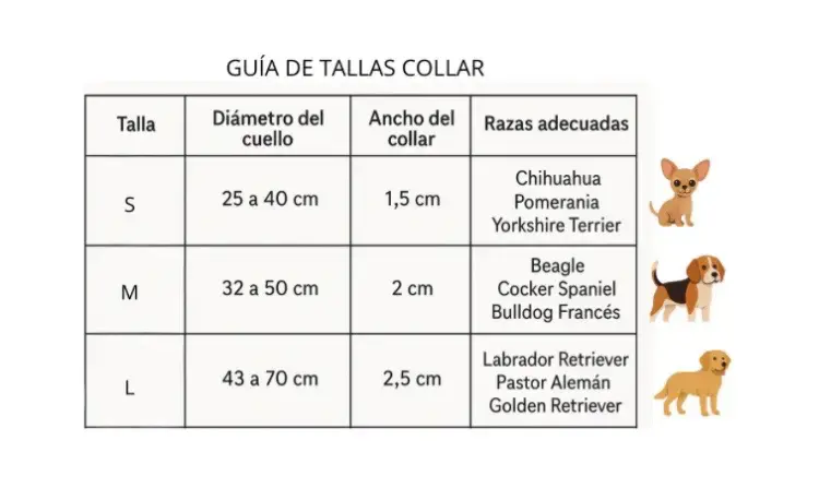 Correa + collar (talla M) Petfind nuevas - 3