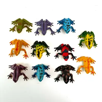 Set de ranas de juguete coloridas - miniatura 4