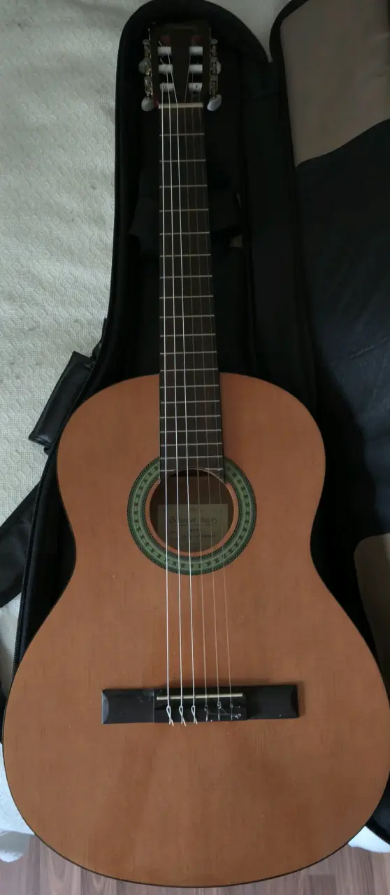 Guitarra clásica acústica ibañez 4/4 - 1