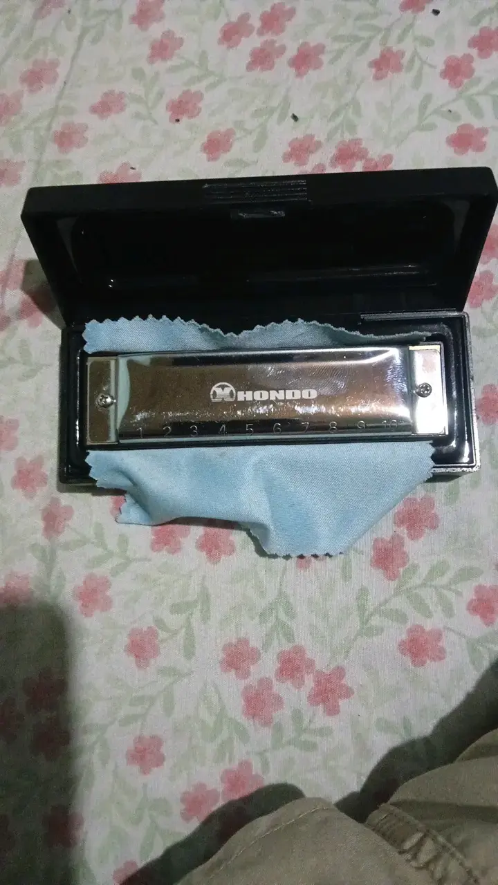 Armónica Hondo en estuche con paño de limpieza - 1