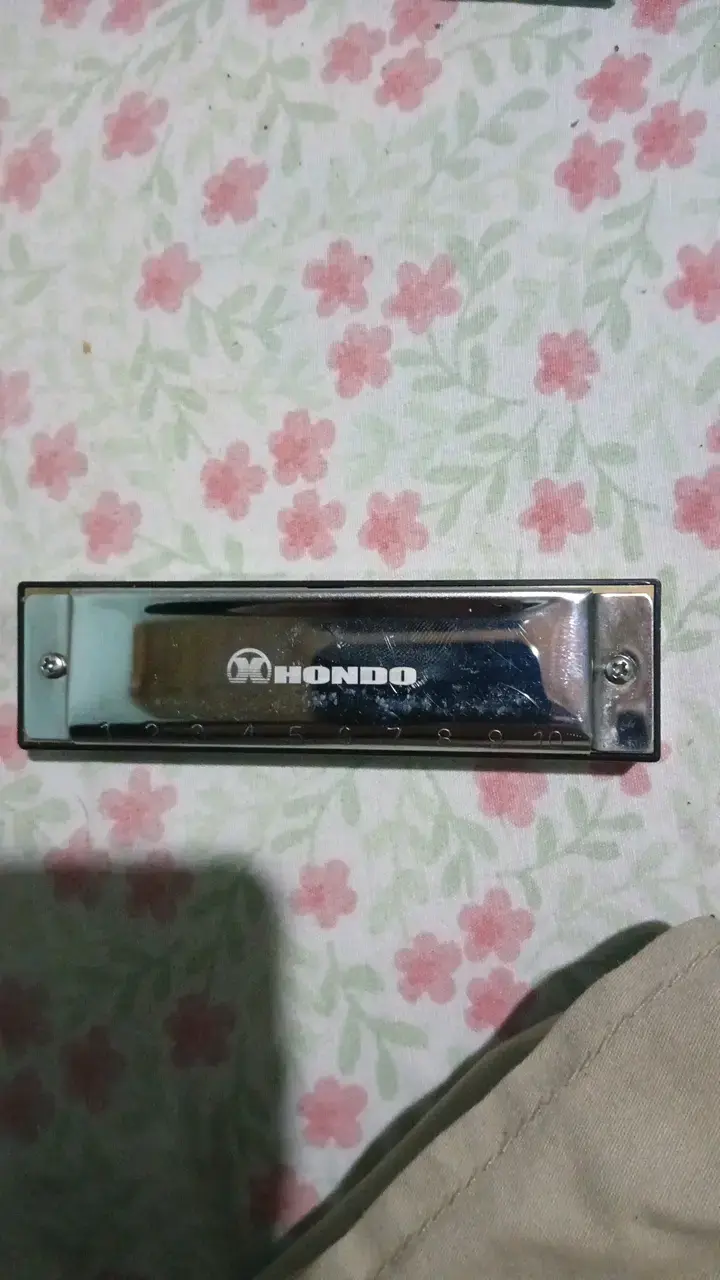 Armónica Hondo en estuche con paño de limpieza - 2