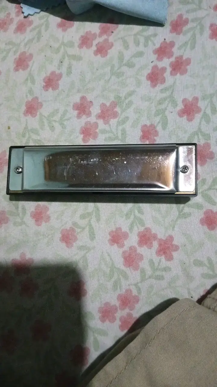 Armónica Hondo en estuche con paño de limpieza - 3