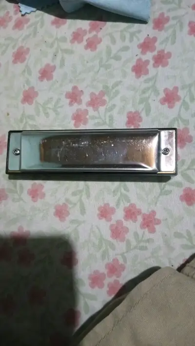 Armónica Hondo en estuche con paño de limpieza - miniatura 3