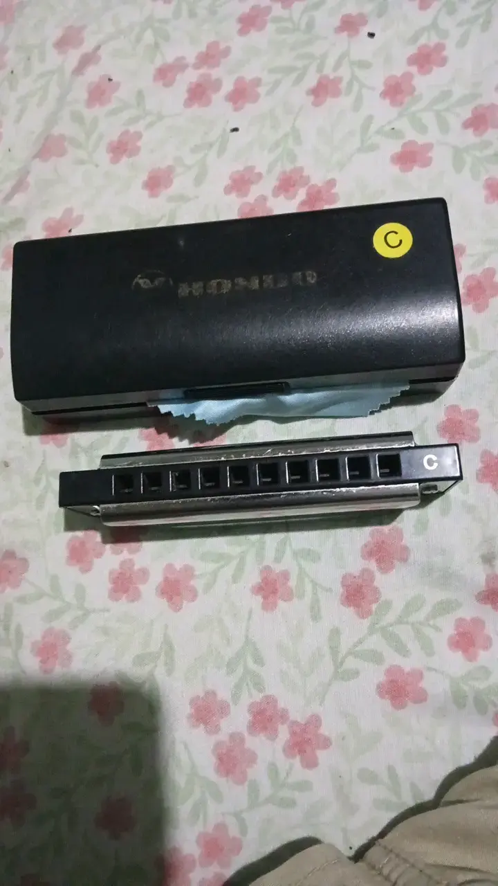 Armónica Hondo en estuche con paño de limpieza - 4
