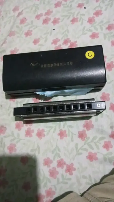 Armónica Hondo en estuche con paño de limpieza - miniatura 4