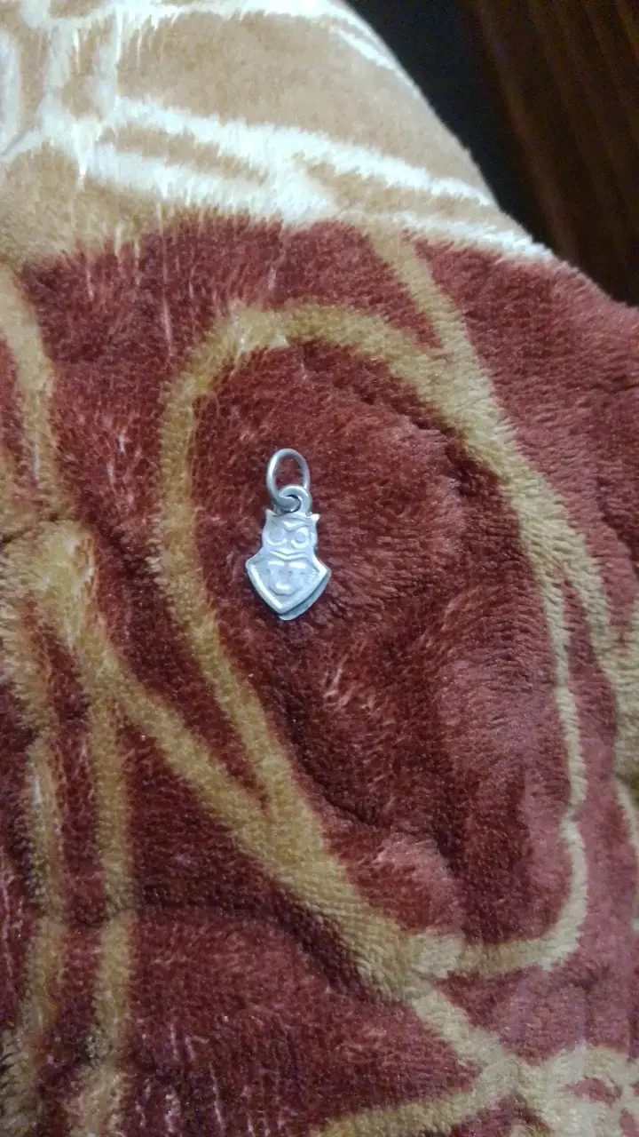 Colgante de plata con diseño de búho - 1