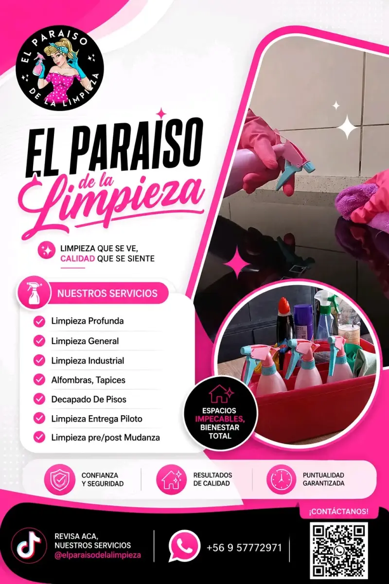 Servicios de limpieza profesional