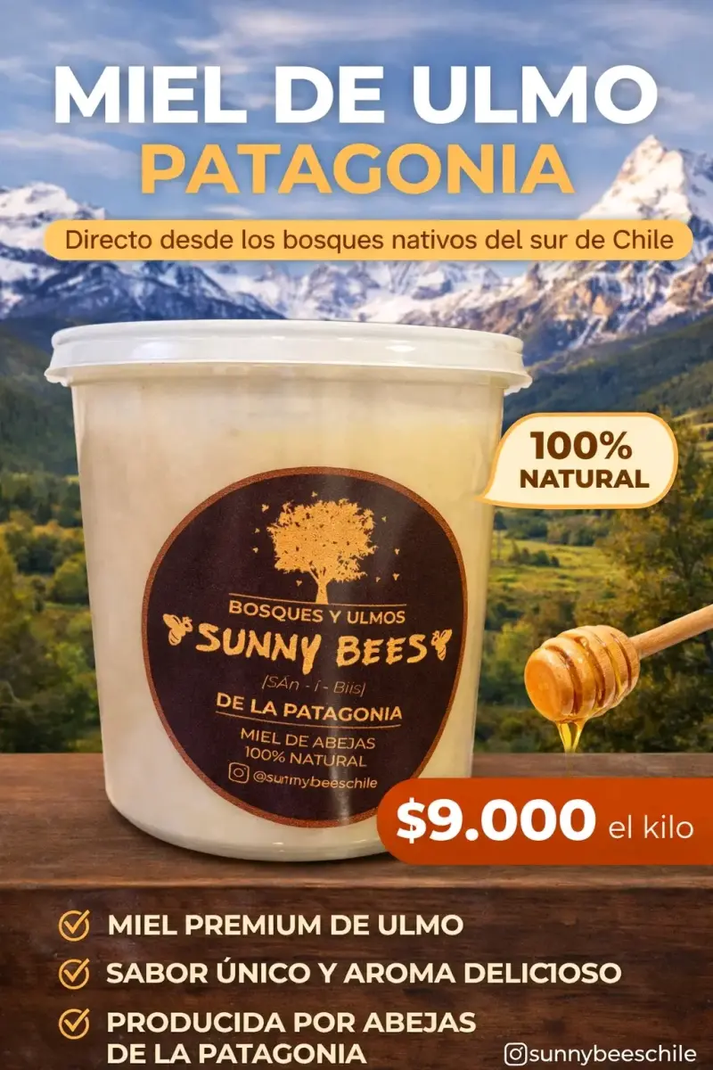 Miel de Ulmo Premium de la Patagonia 1 kg - 1