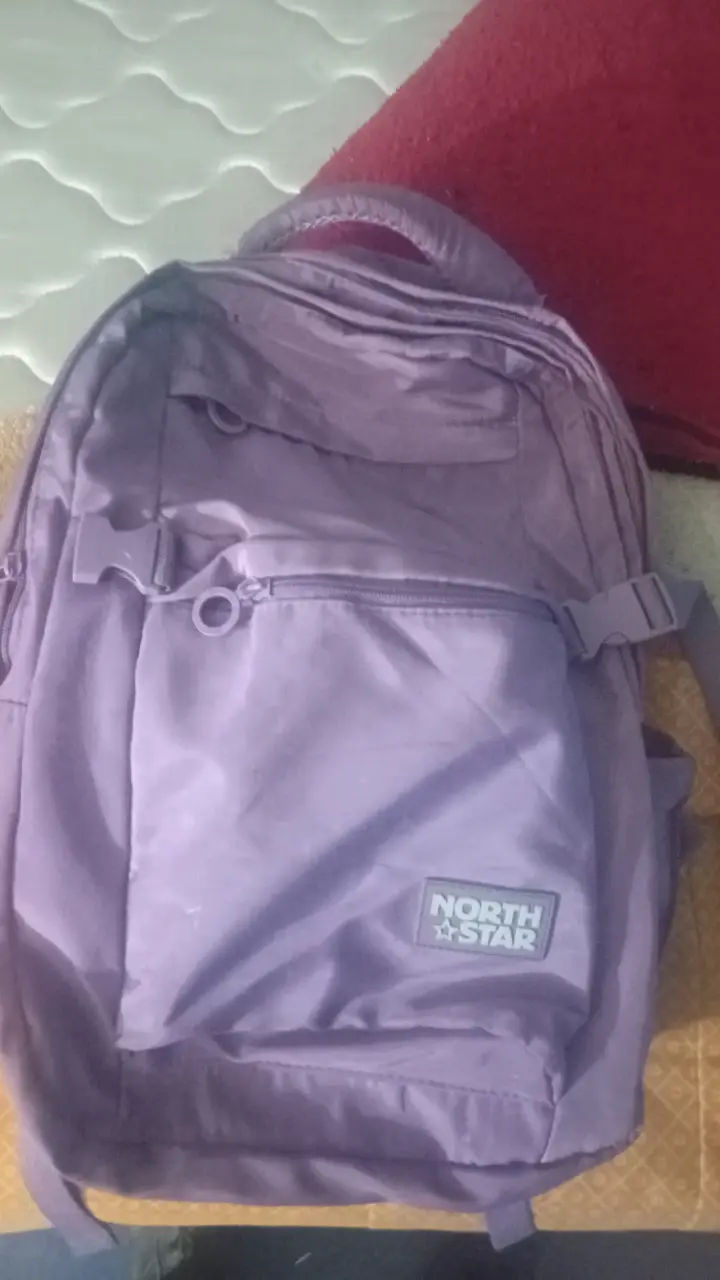 Mochila morada North Star espaciosa y resistente - 1
