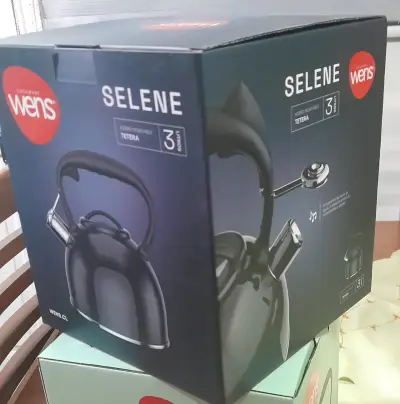 Tetera de acero inoxidable Wens Selene 3 litros - miniatura 1