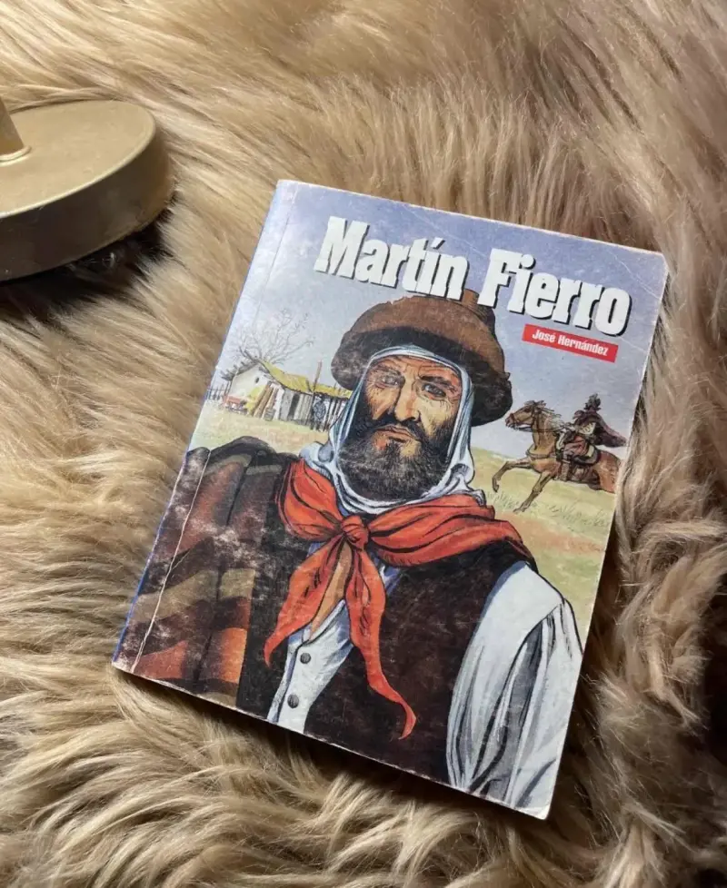 Libro Martín Fierro de José Hernández - 1