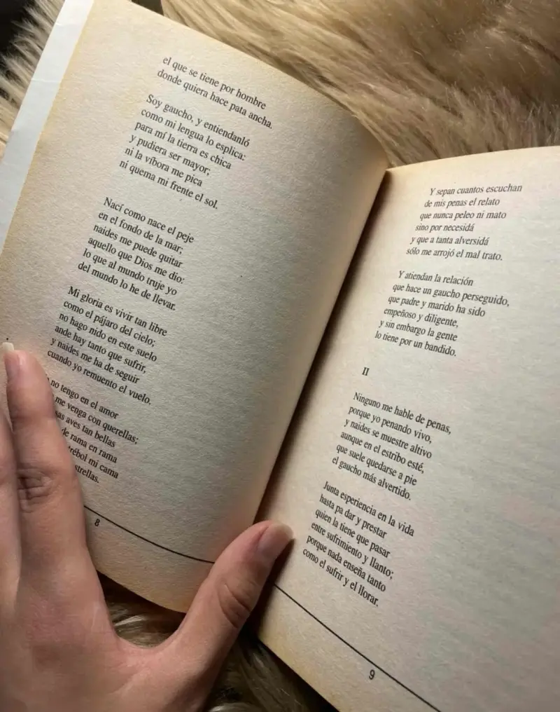 Libro Martín Fierro de José Hernández - 2
