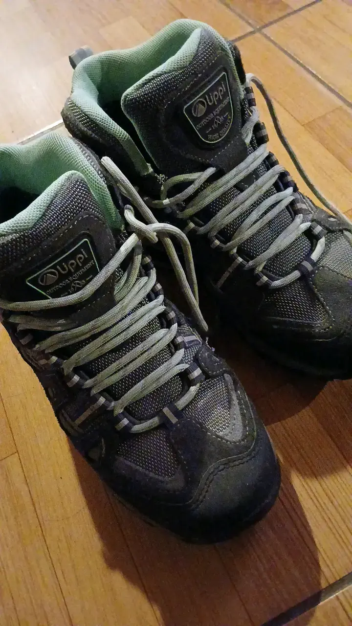 Zapato lippi 37 - 1