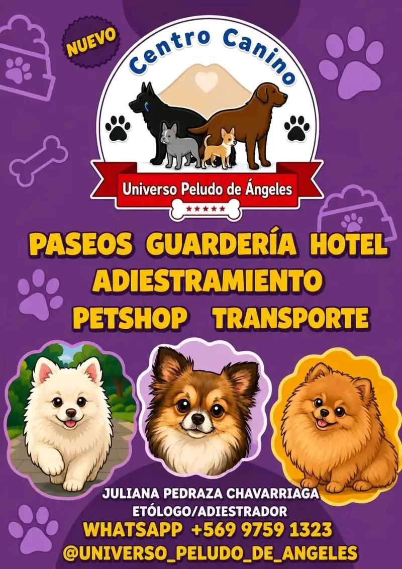 Centro Canino con Paseos y Guardería - 1