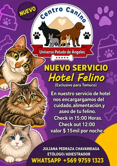 Centro Canino con Paseos y Guardería - miniatura 2