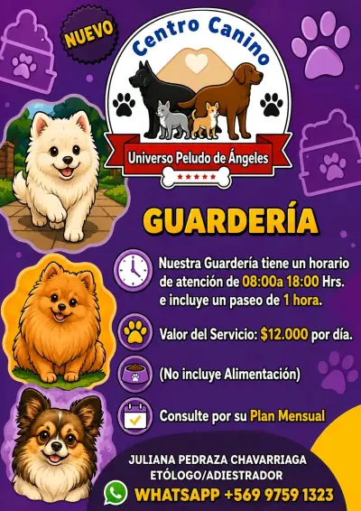 Centro Canino con Paseos y Guardería - miniatura 3
