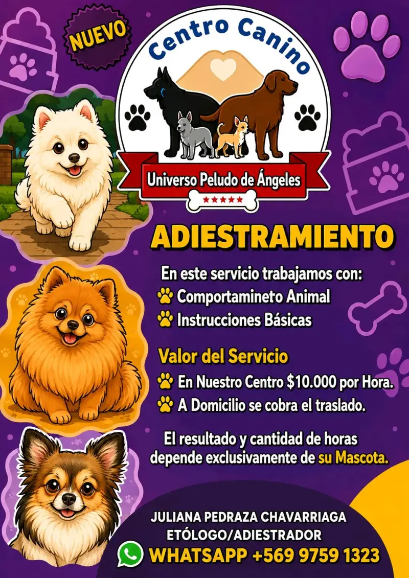 Centro Canino con Paseos y Guardería - 4