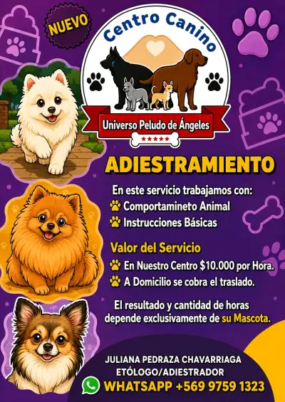 Centro Canino con Paseos y Guardería - miniatura 4