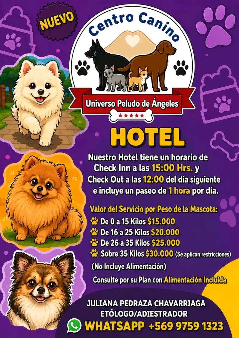 Centro Canino con Paseos y Guardería - 5