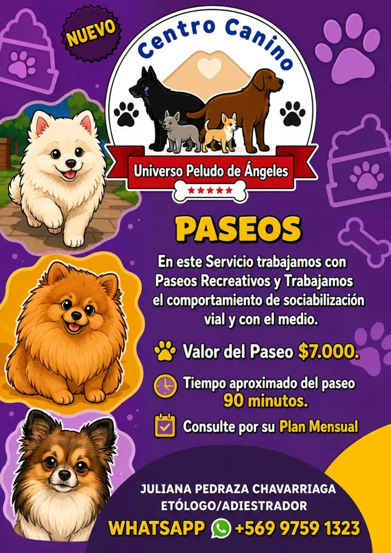 Centro Canino con Paseos y Guardería - 6