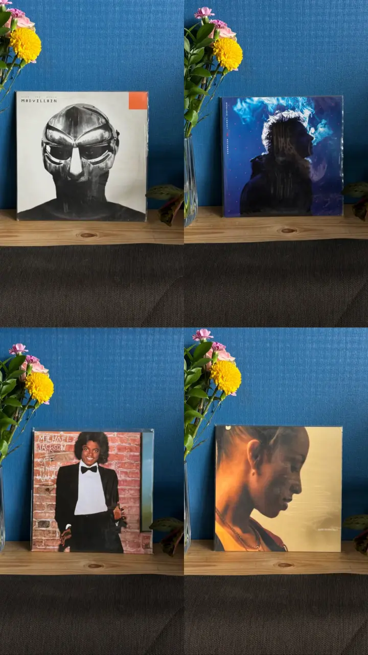 Vinilos de música variados en excelente estado - 2