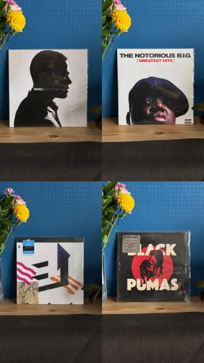Vinilos de música variados en excelente estado - miniatura 3