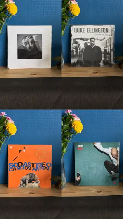 Vinilos de música variados en excelente estado - miniatura 4