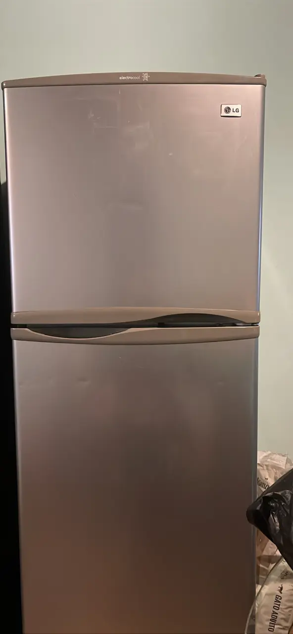 Refrigerador LG Electrocool de dos puertas - 1